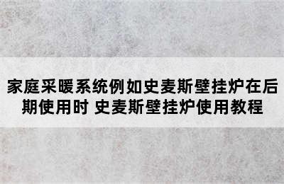 家庭采暖系统例如史麦斯壁挂炉在后期使用时 史麦斯壁挂炉使用教程